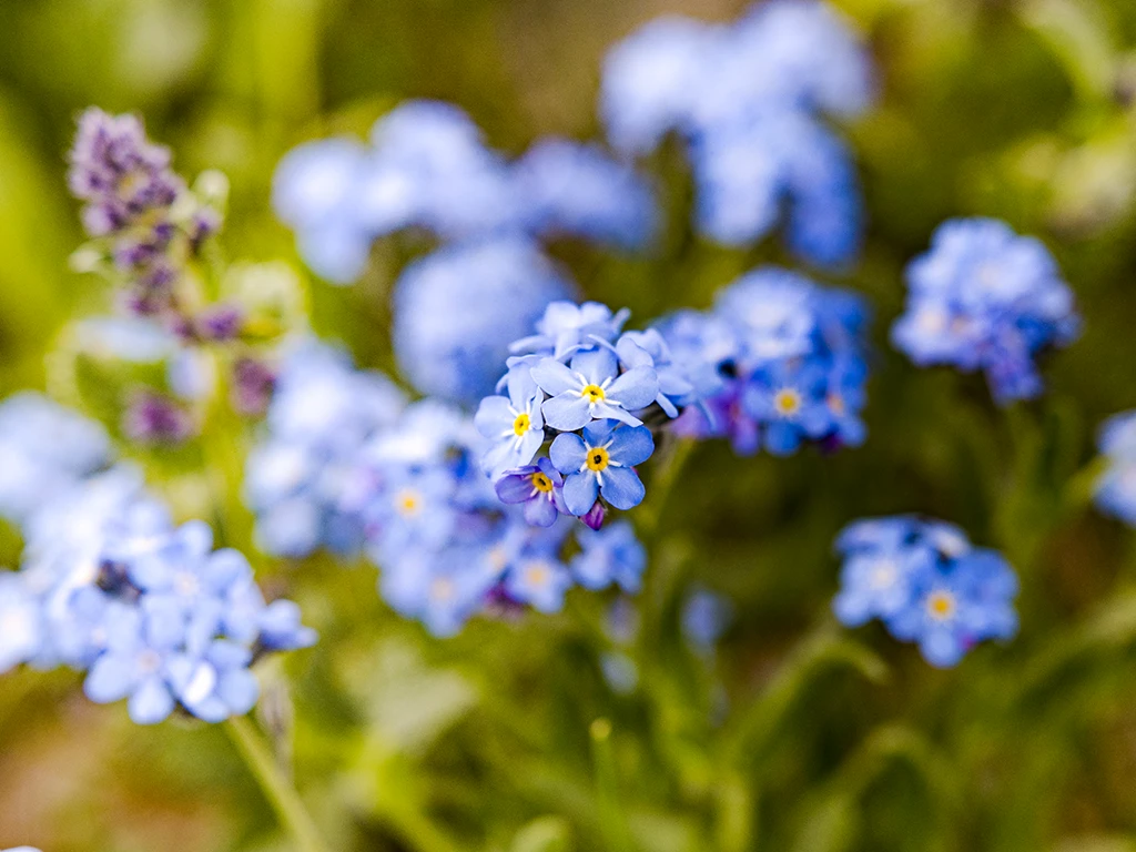 Mutual aid: our cohesion in action