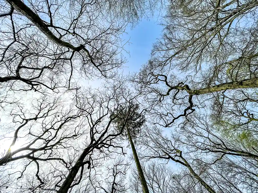 Solidarity: the essence of our mission